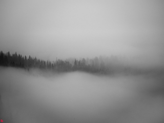 от 10000 р.: 83